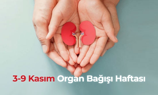 https://www.inovahastanesi.com/Organ Bağışı